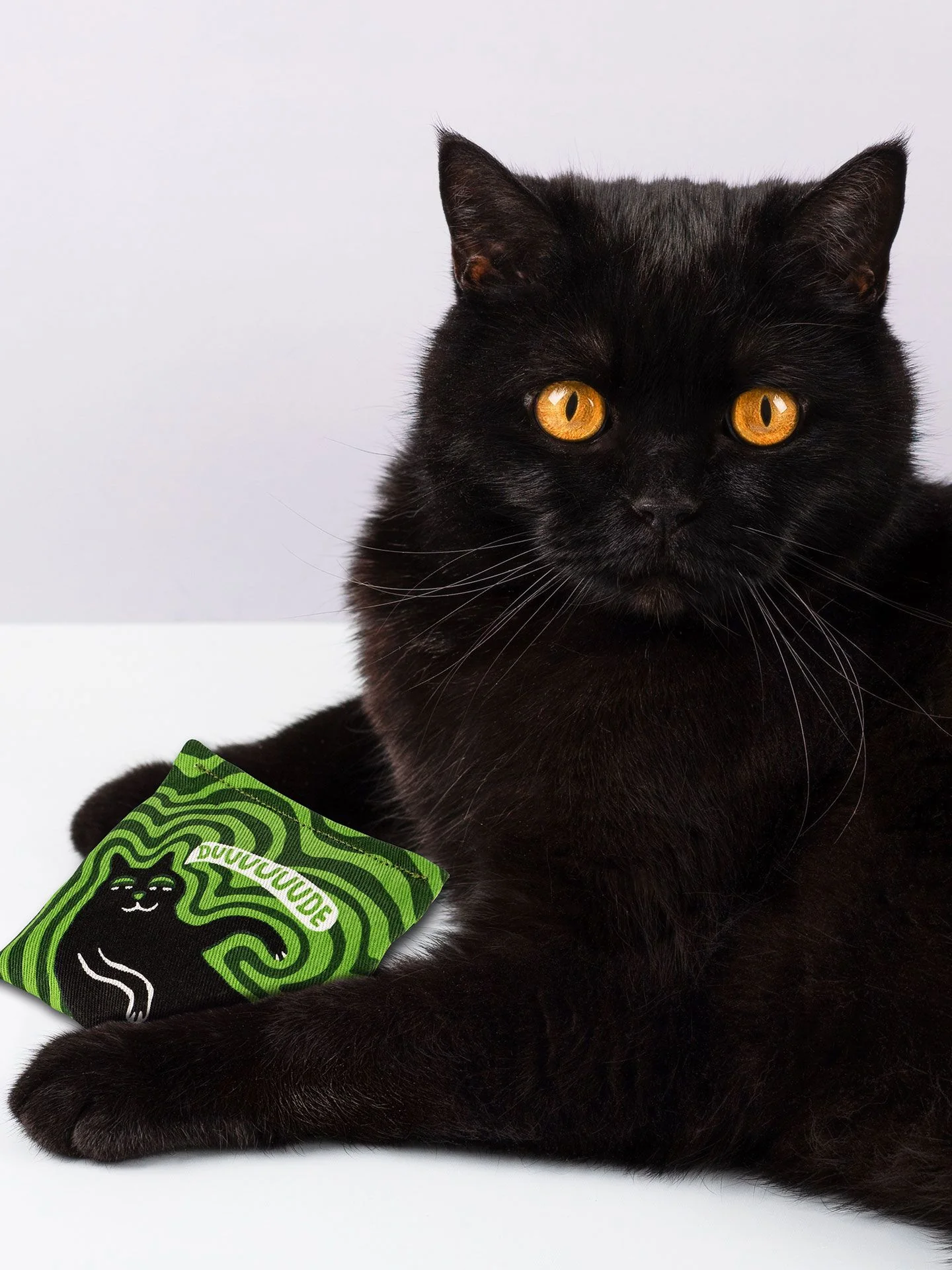 Duuuuuude Catnip Toy - Image 3
