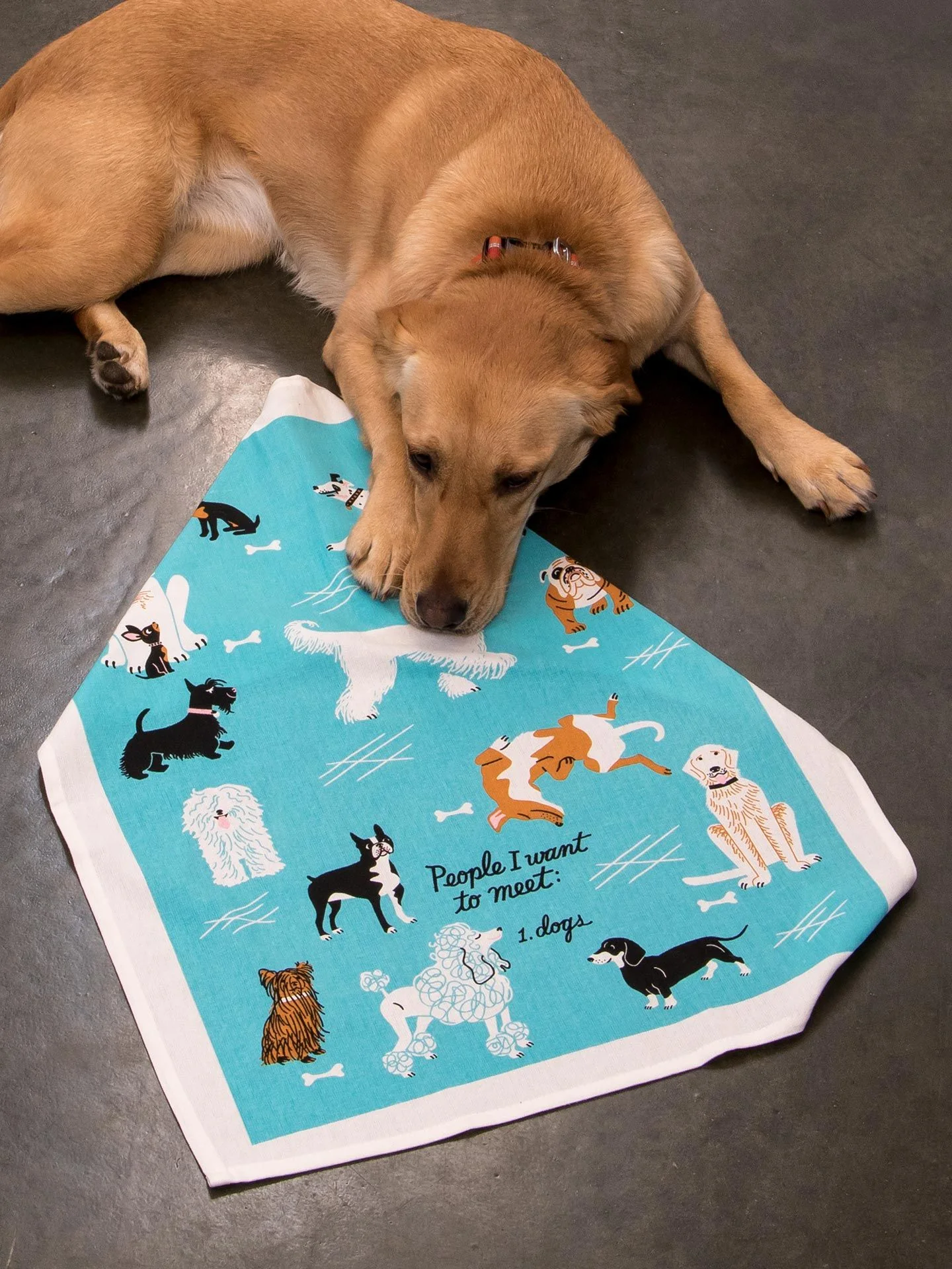 People I Want To Meet: Dogs Dish Towel - Image 3